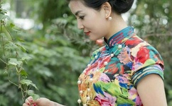 国模温琪150p露150p